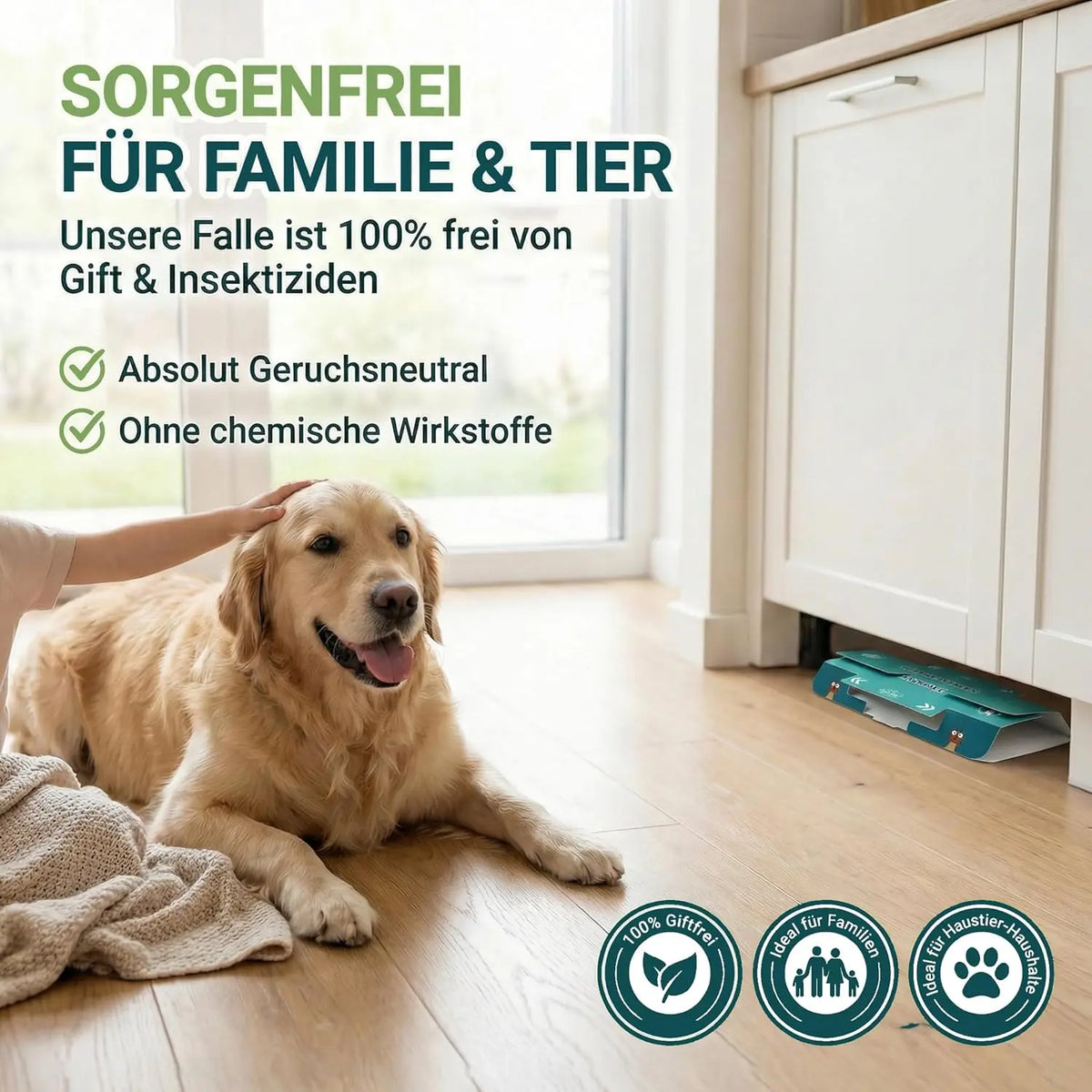 Schaben- & Kakerlakenfalle, 10 Stück – giftfreie Klebefalle