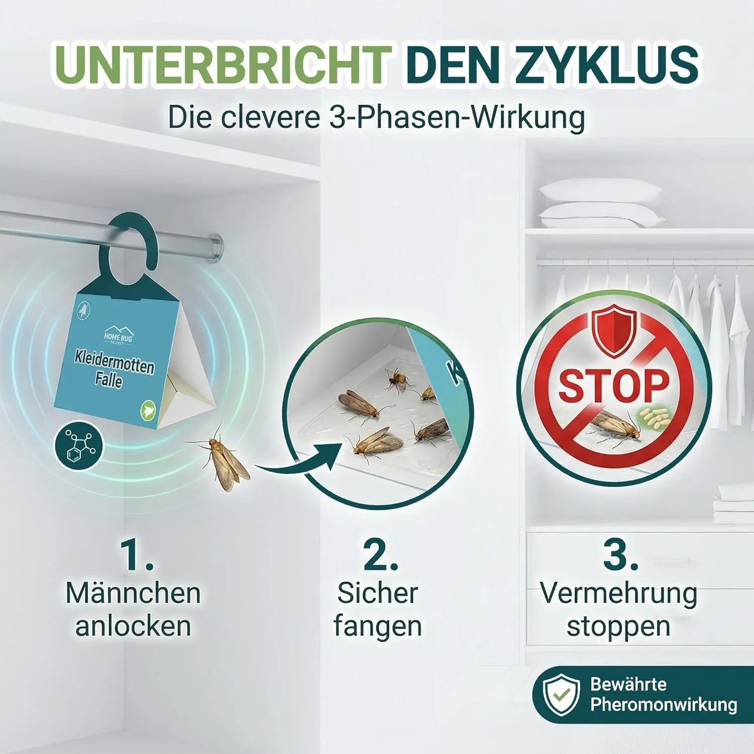 Kleidermottenfalle, 6 Stück – giftfreie Klebefalle