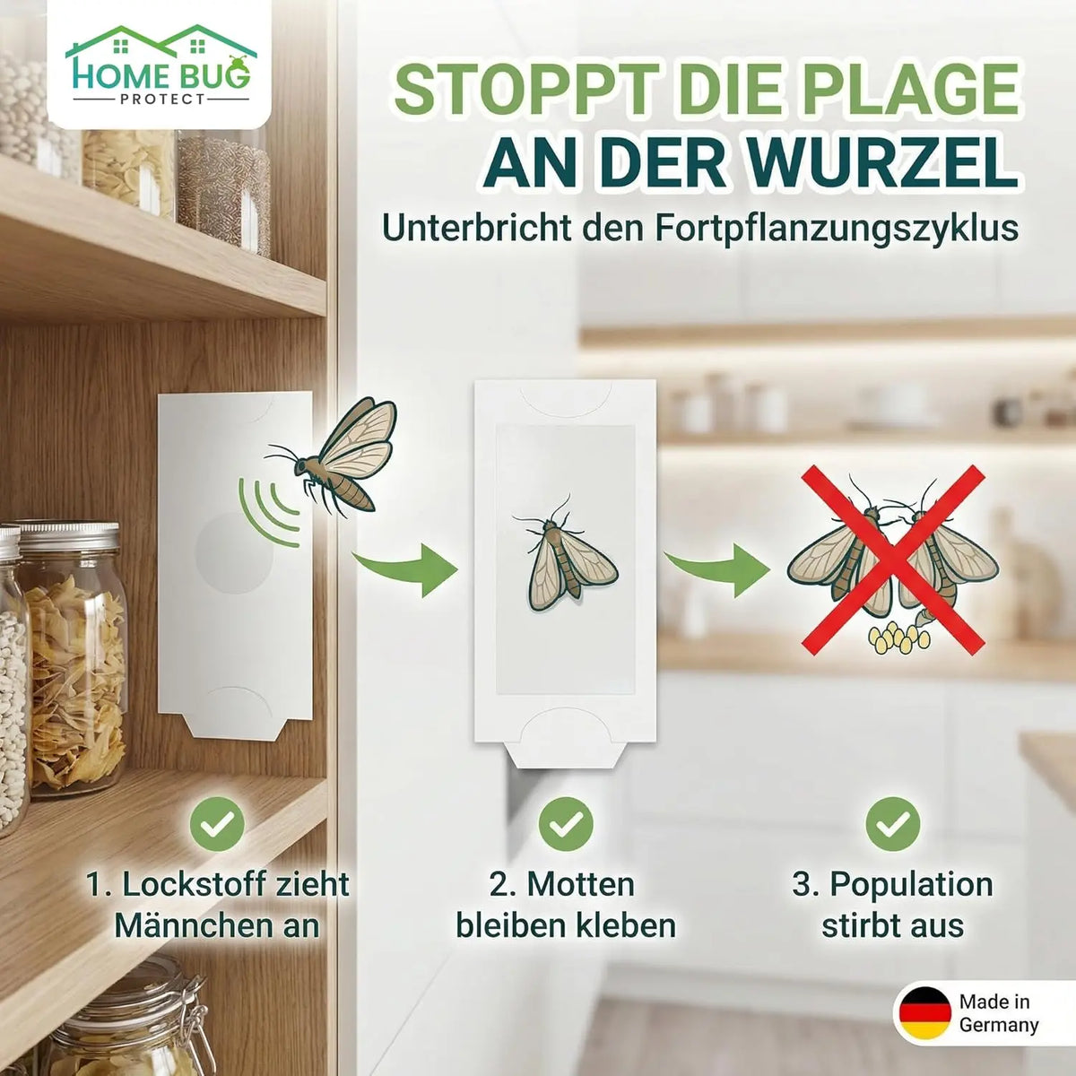 Lebensmittelmotten-Falle, 10 Stück – Pheromonfalle