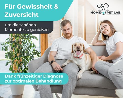 Giardien Schnelltest für Hunde & Katzen
