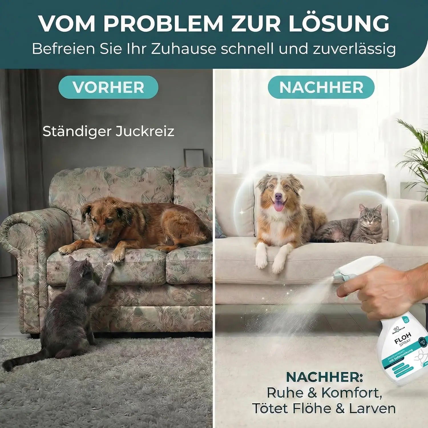Floh Spray für Wohnung und Möbel - 500ml Sprühflasche