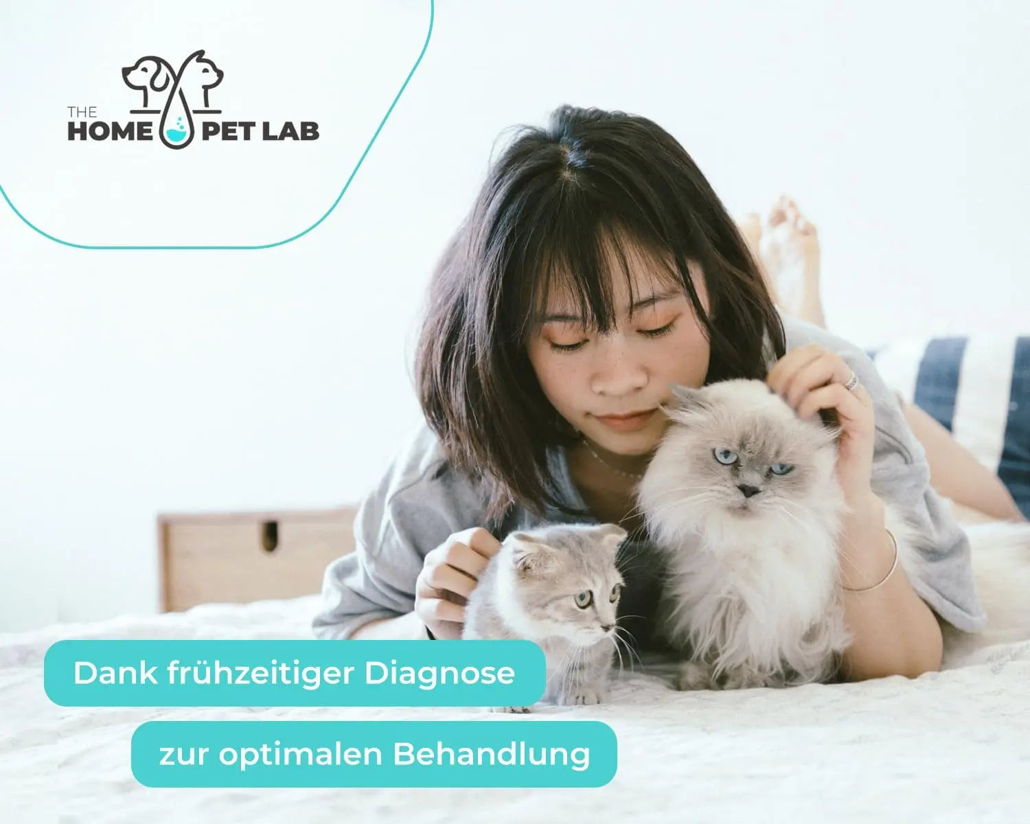 Parvo Schnelltest für Hund und Katze