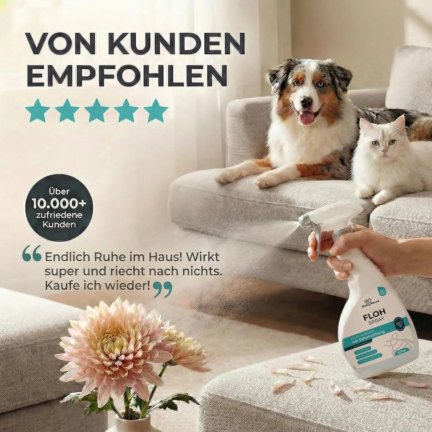 Floh Spray für Wohnung und Möbel - 500ml Sprühflasche