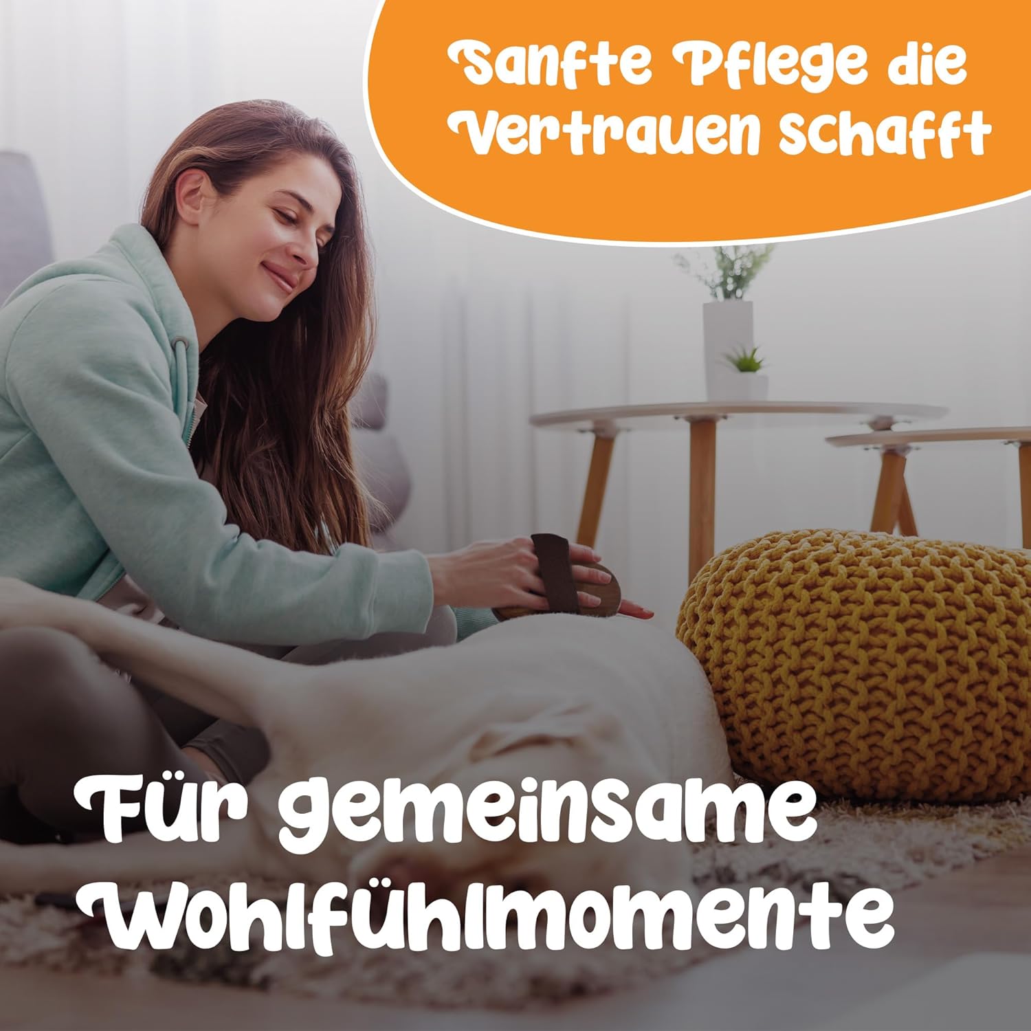 Kurzhaar TPR Striegel aus Buchenholz