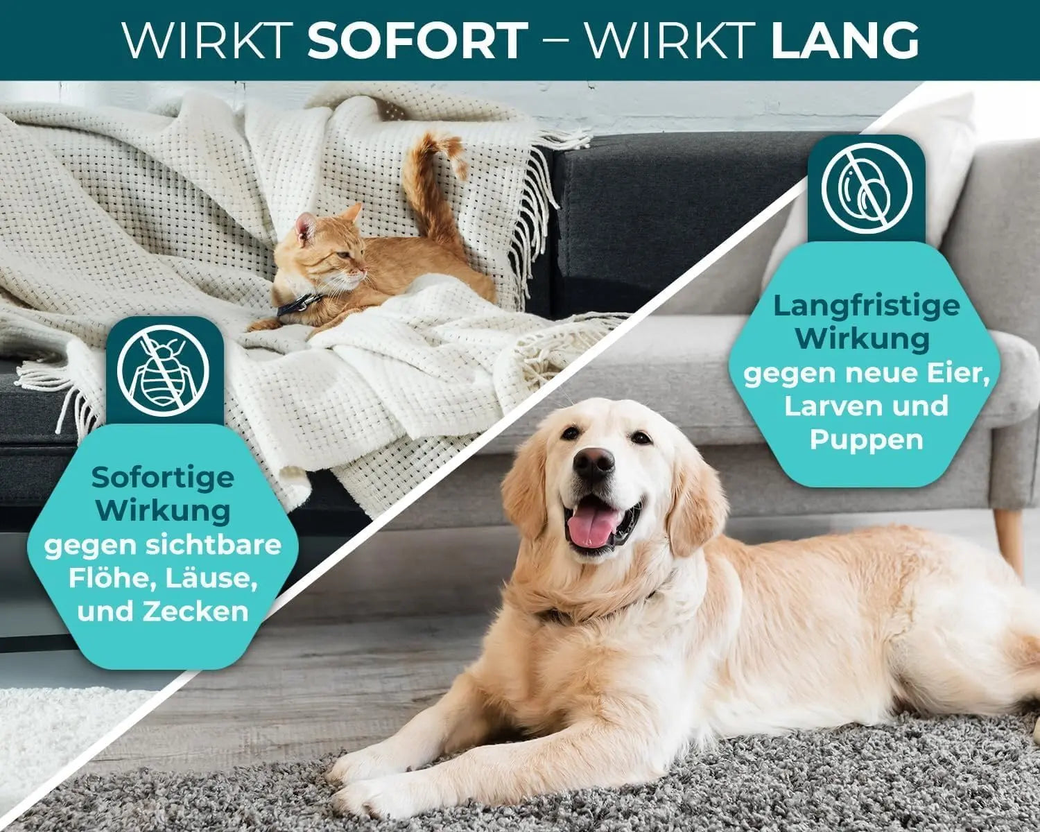 Floh Spray für Wohnung und Möbel 500ml HomePetLab