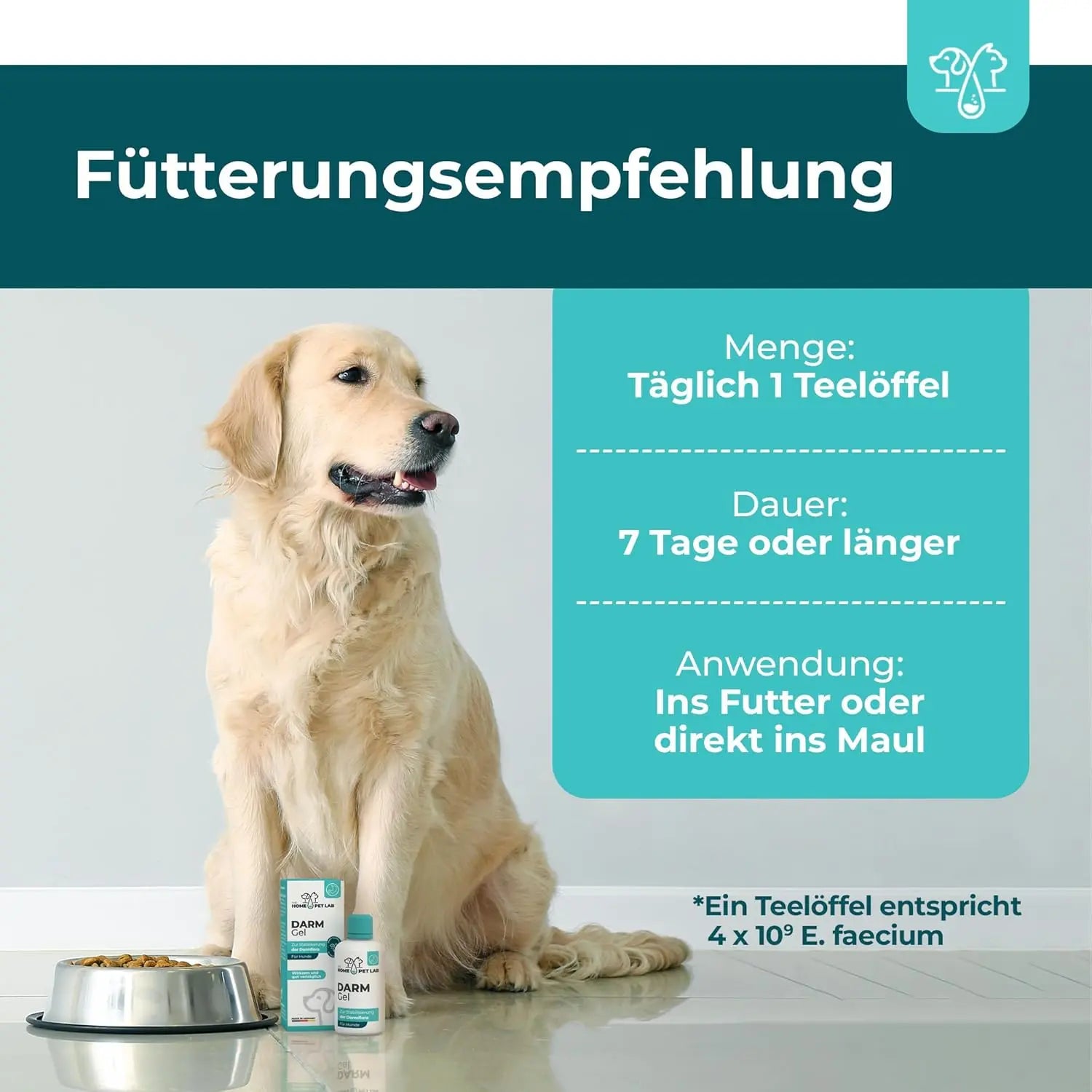 Magen-Darm-Gel für Hunde HomePetLab