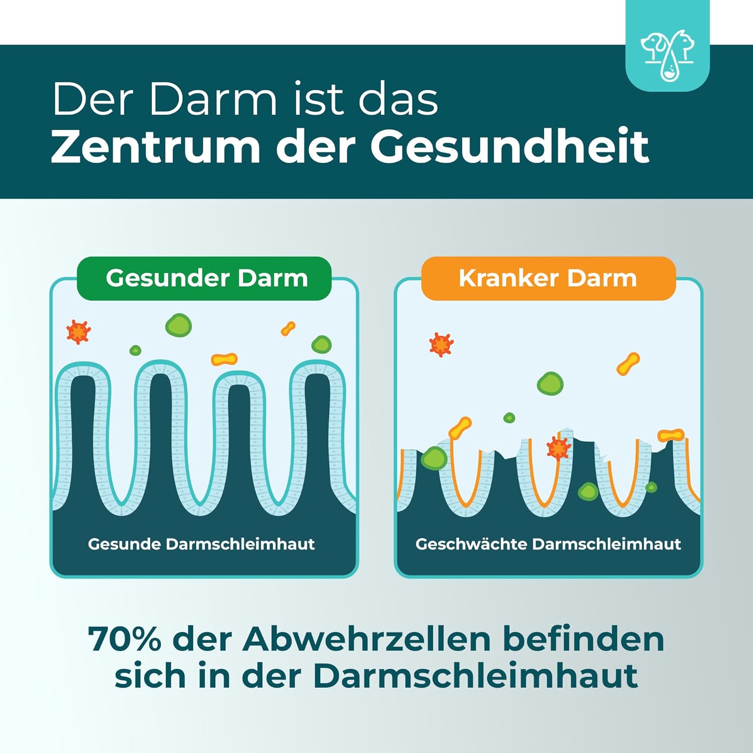 Magen-Darm-Gel für Hunde