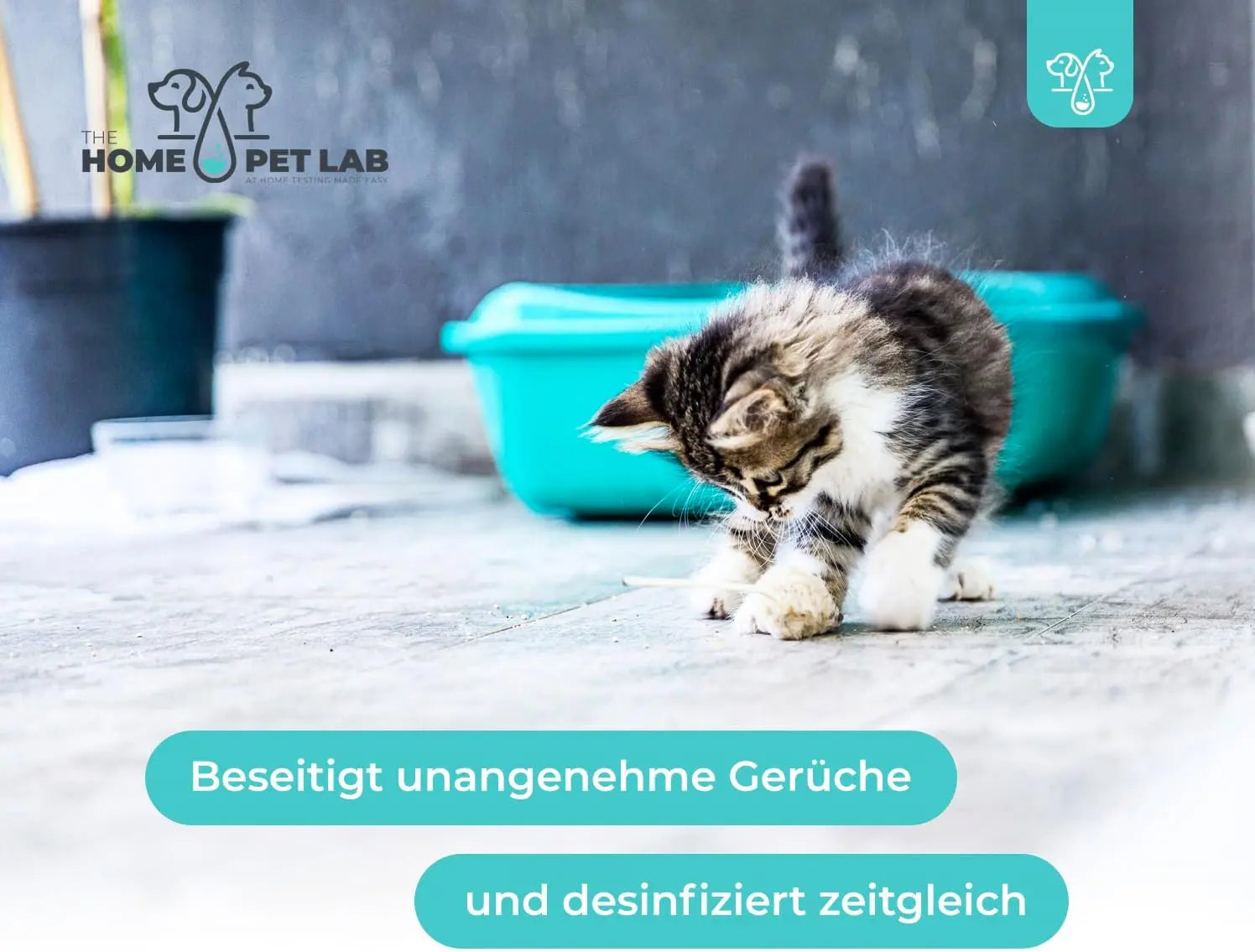 RWC - Oberflächen Desinfektionsmittel HomePetLab