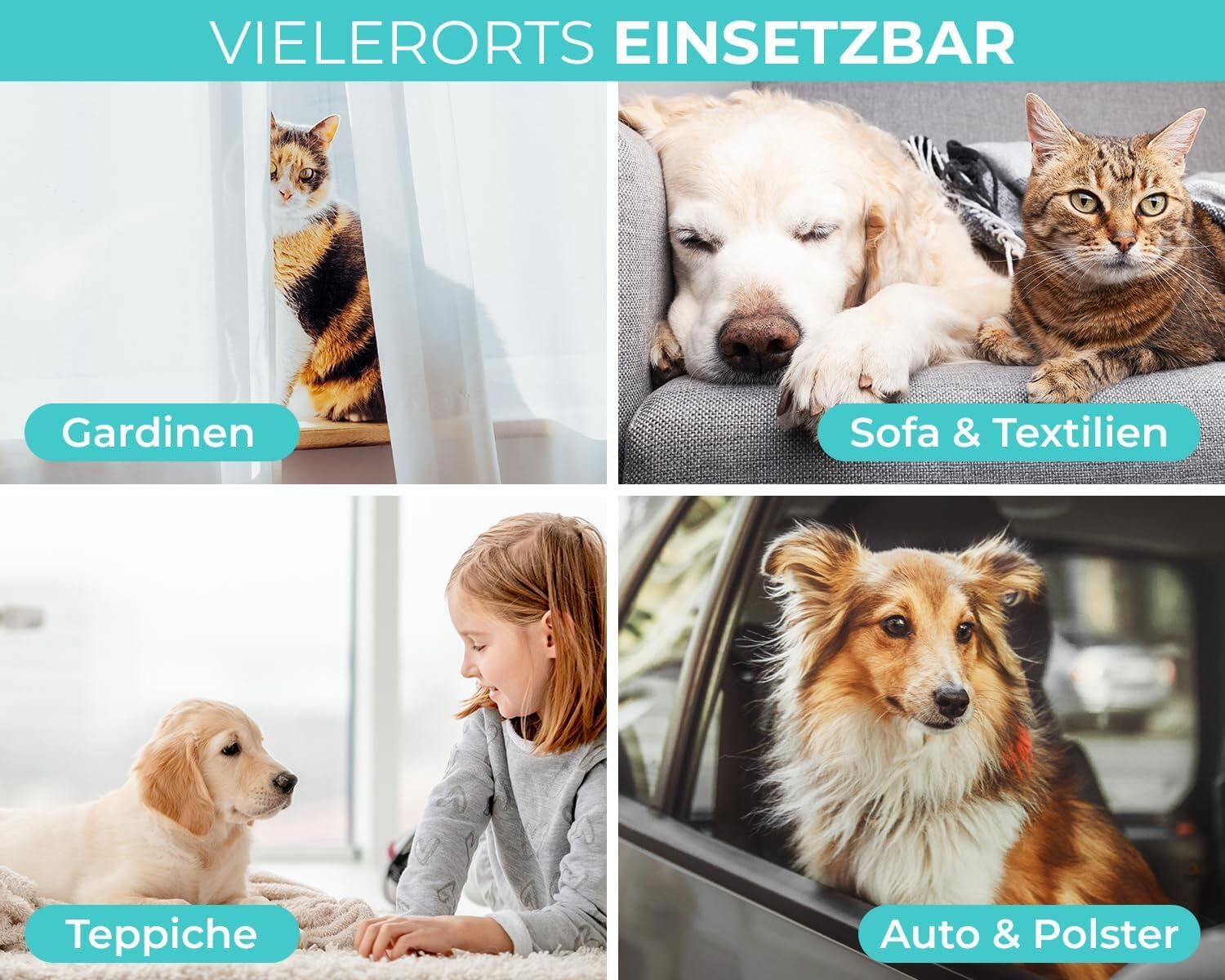 Floh Spray für Wohnung und Möbel
