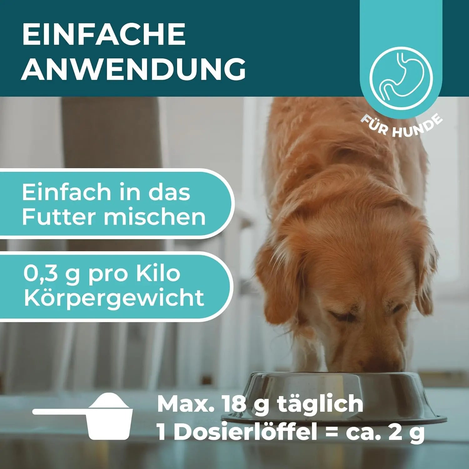 Magen-Darm Pulver für Hunde HomePetLab