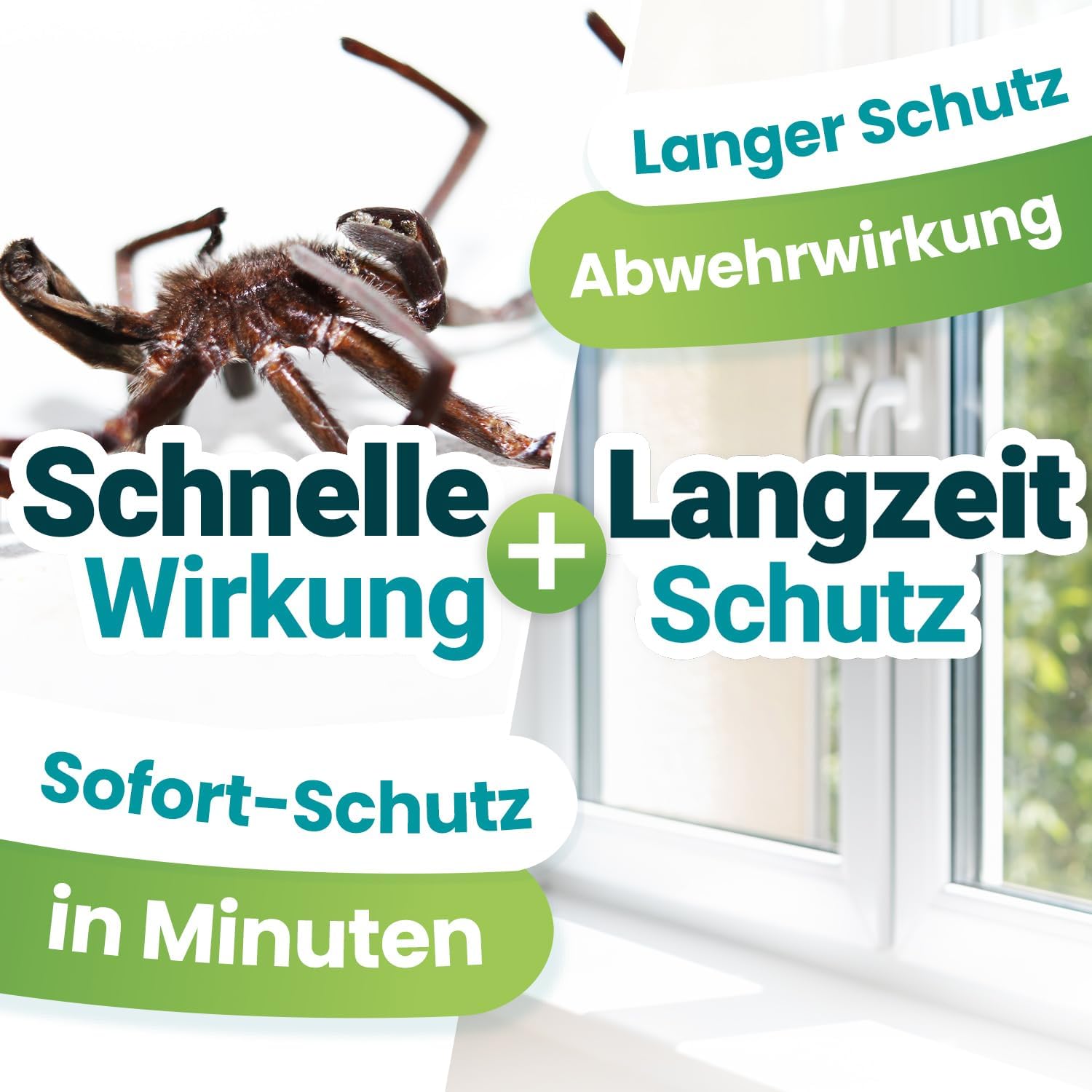 Spinnen Spray 500ml – für Wohnung, Balkon & Garten