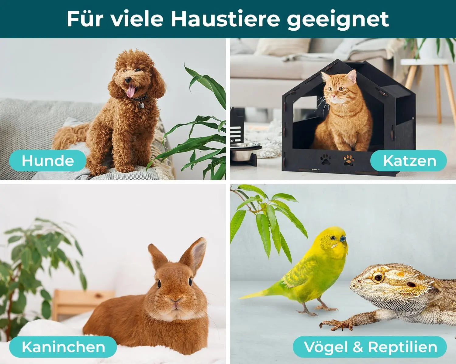 Giardien Schnelltest für Hunde & Katzen 10er Packung HomePetLab
