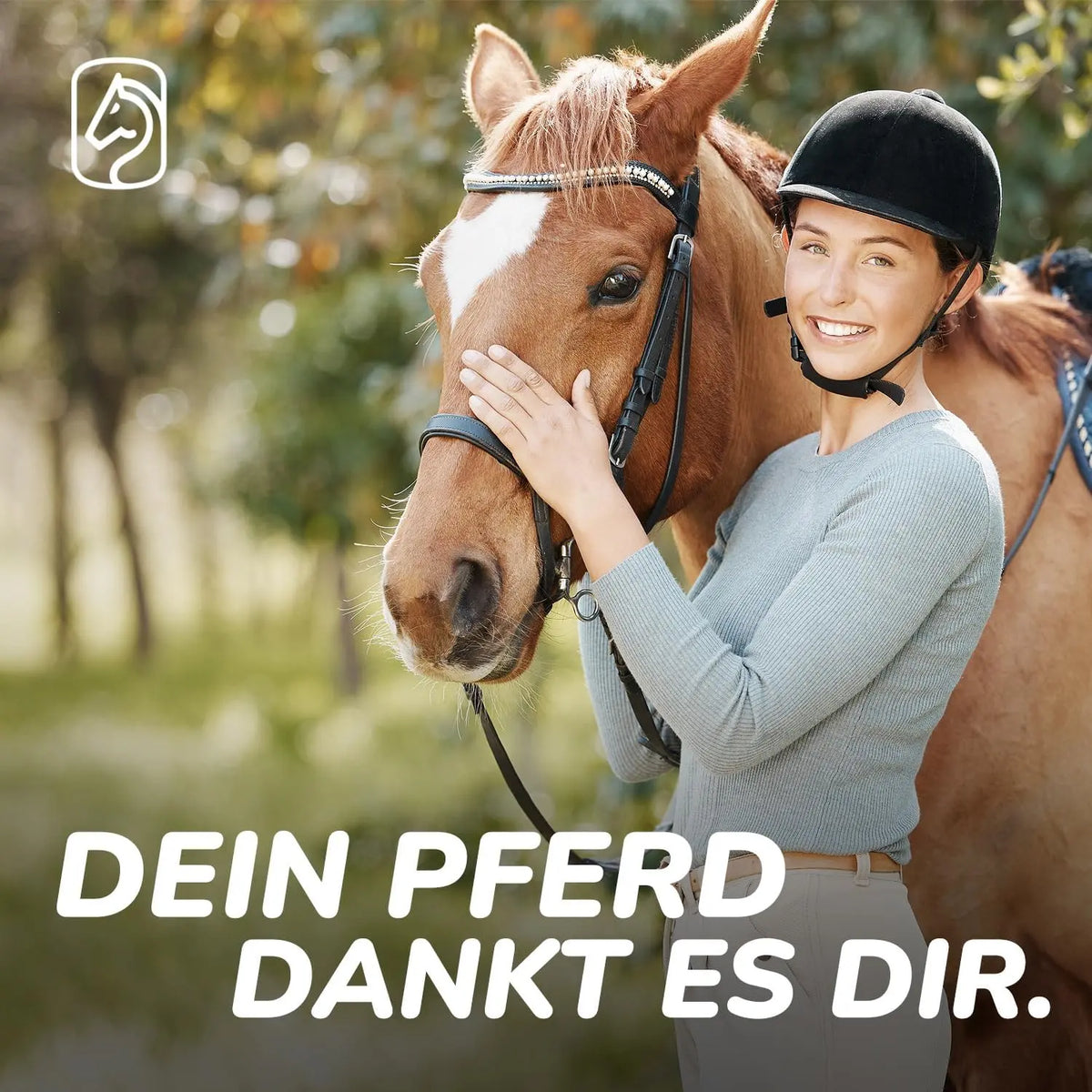 Fliegenspray Pferd 500ml – gegen Mücken & Bremsen ForeverHorse