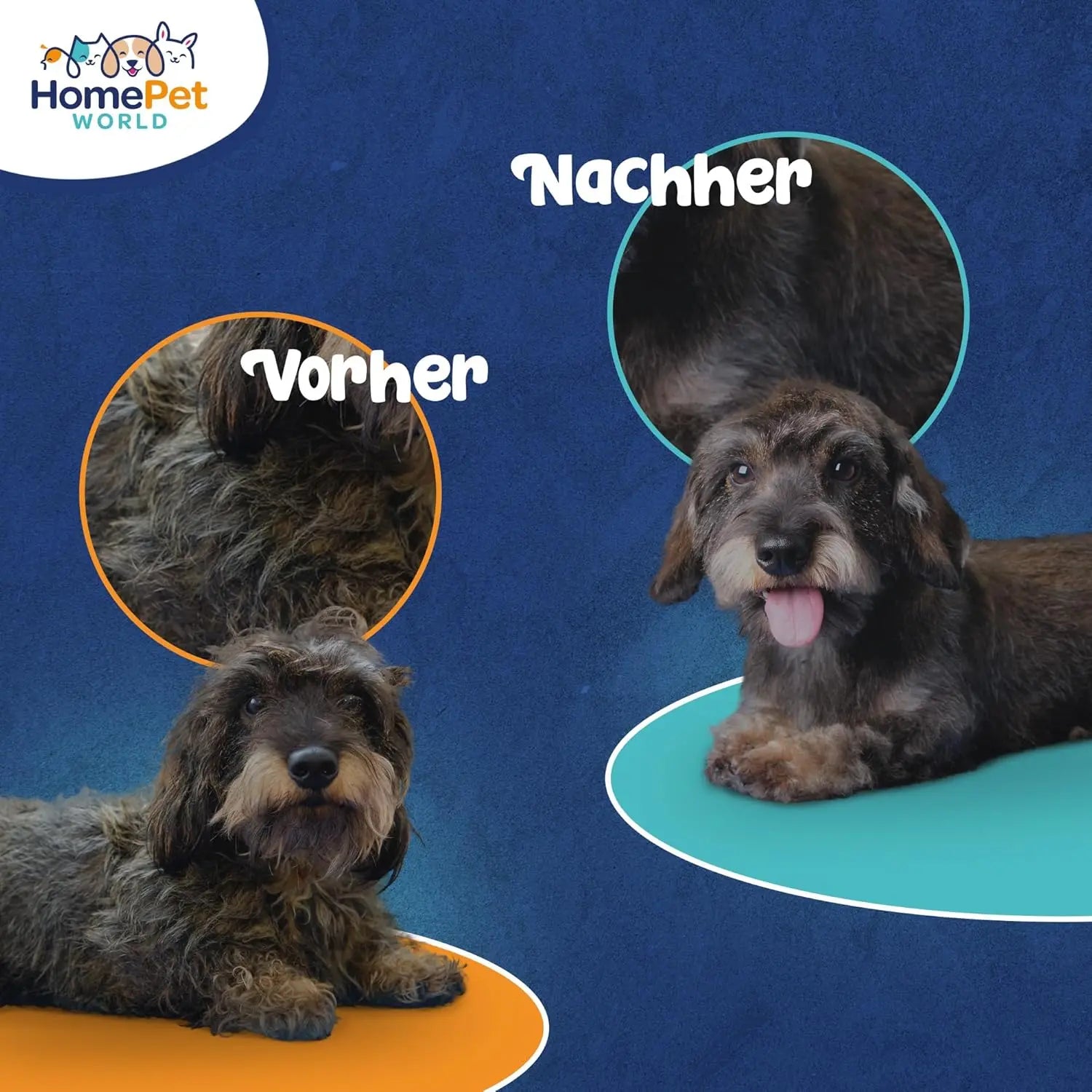 Bürste für Langhaar & Unterwolle aus Buchenholz HomePetWorld