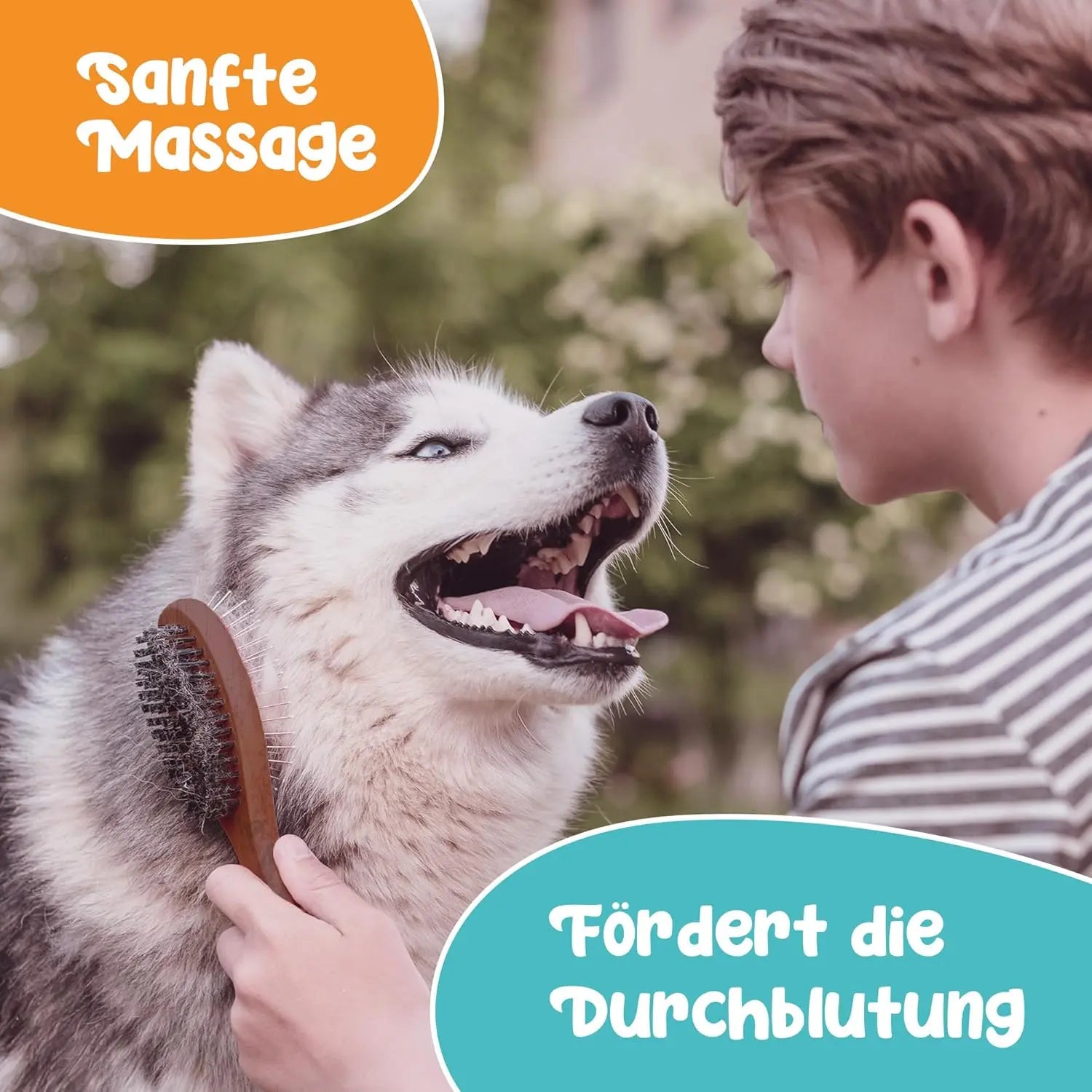 2 in 1 Doppel-Bürste aus Buchenholz HomePetWorld