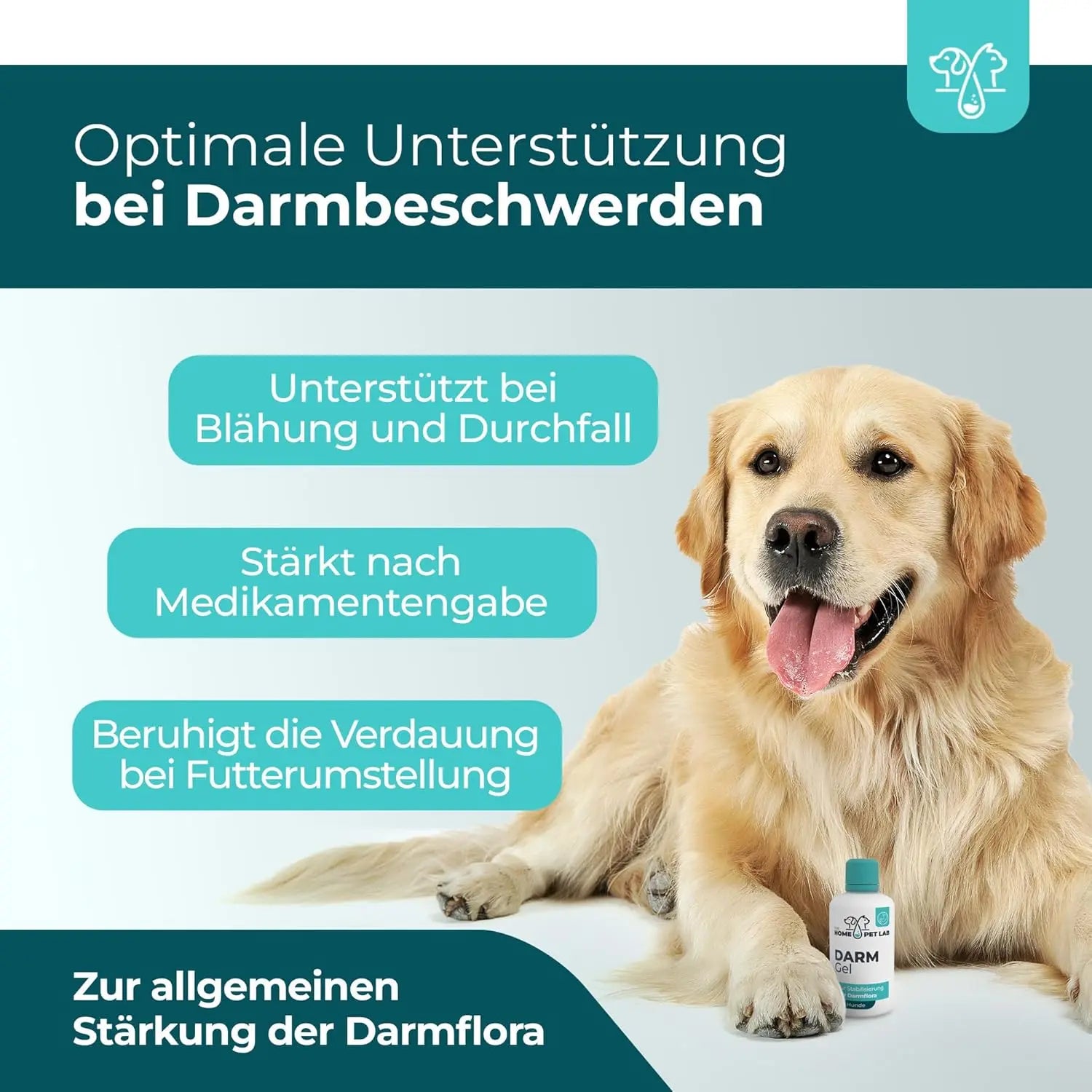 Magen-Darm-Gel für Hunde HomePetLab