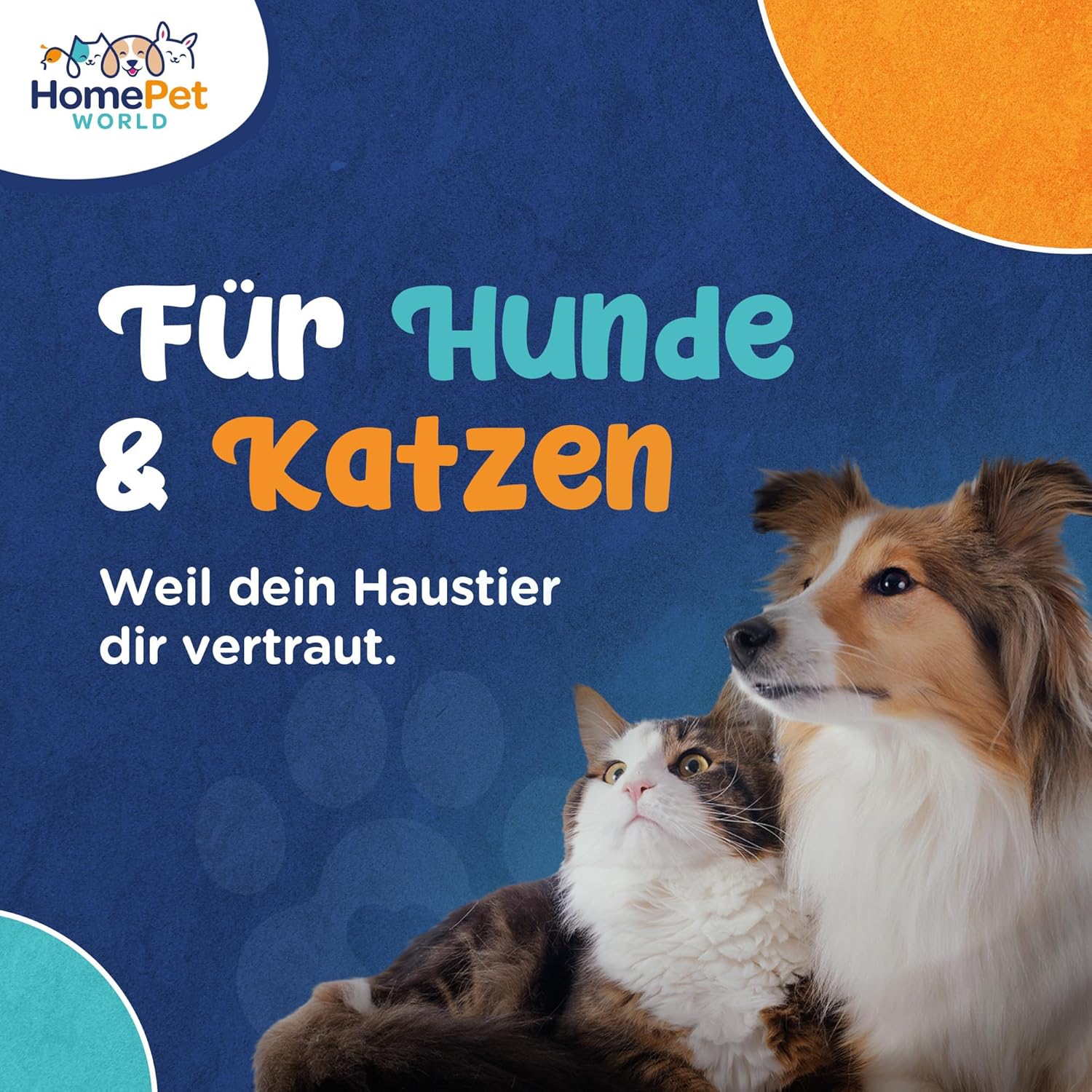 Kurzhaar TPR Striegel aus Buchenholz