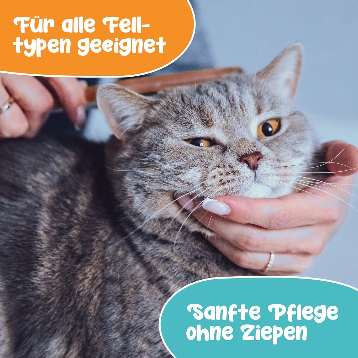 Massagebürste für Langhaar & Kurzhaar aus Buchenholz