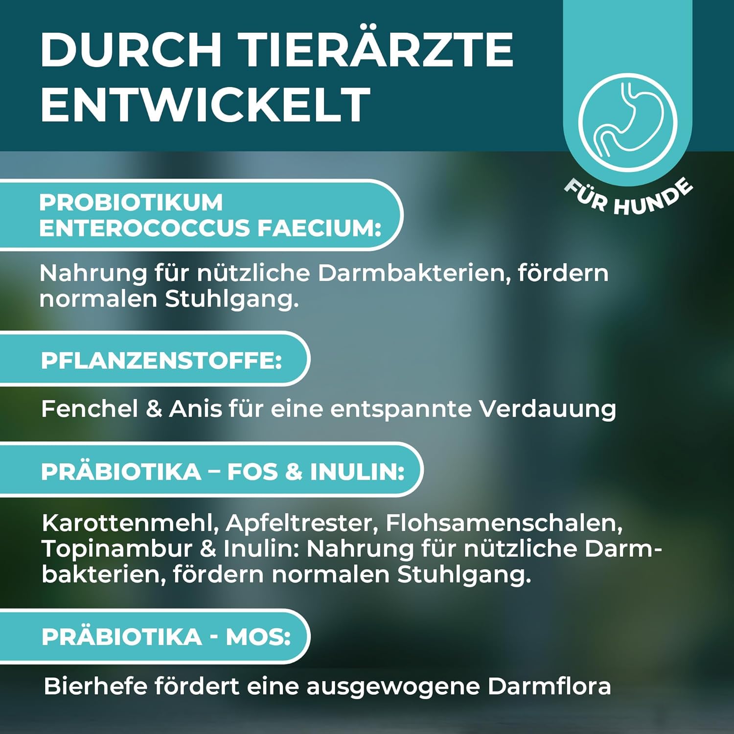 Magen-Darm Pulver für Hunde