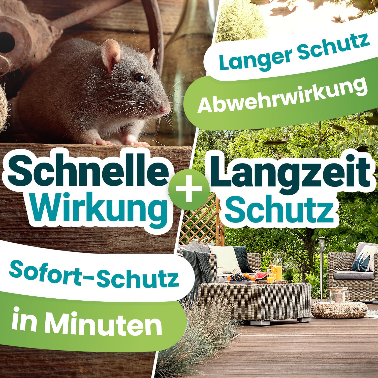 Mäuse & Ratten Spray 500ml – für Haus & Garten