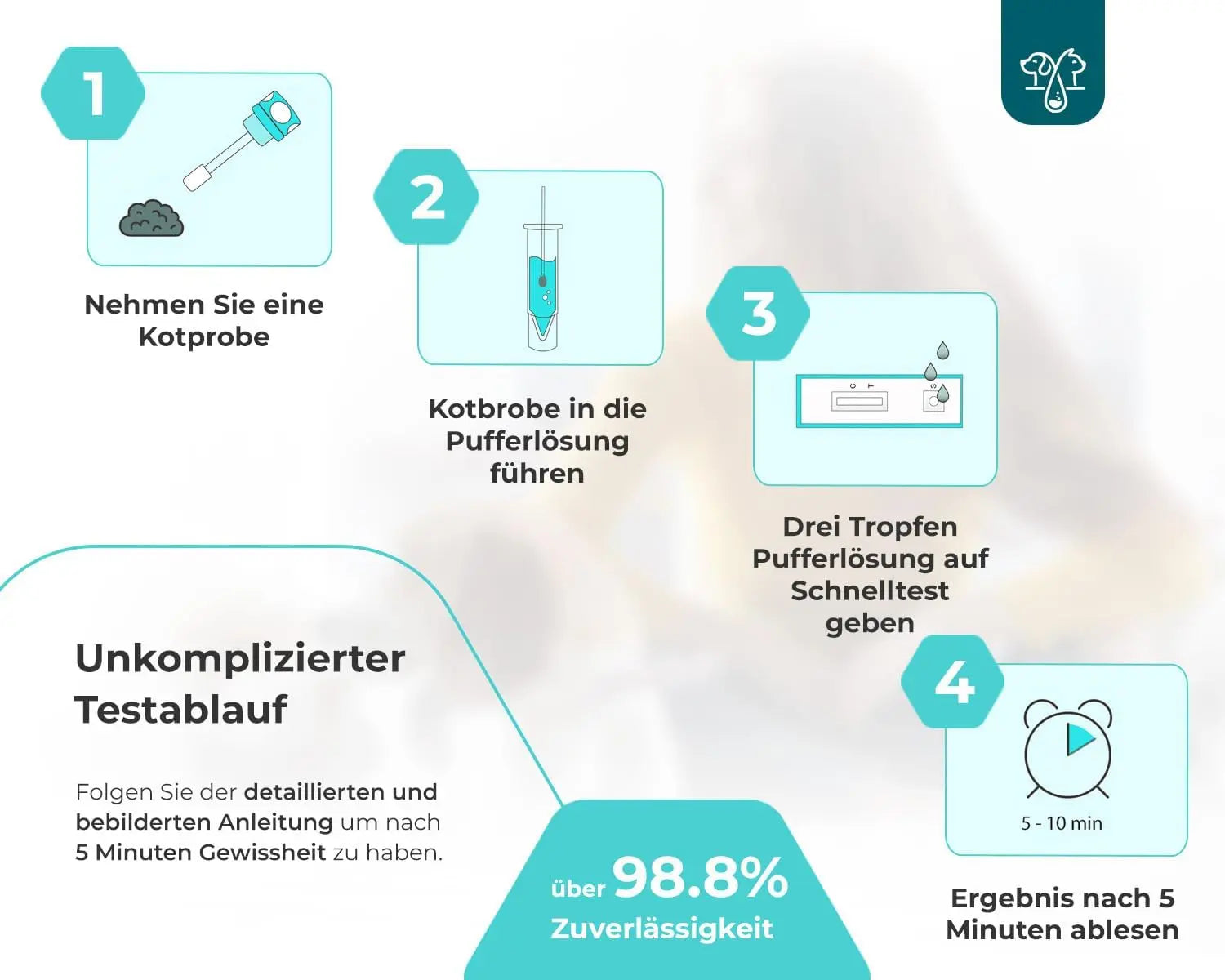 Parvo Schnelltest für Hund und Katze