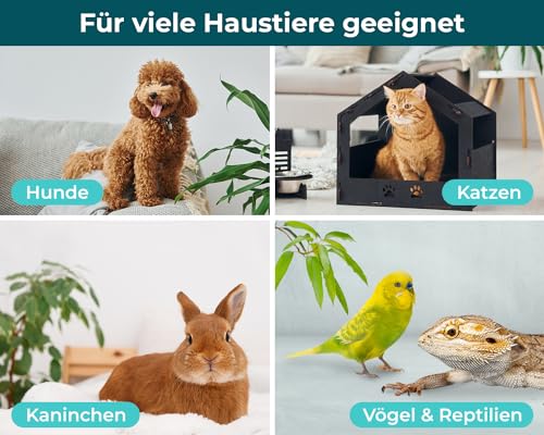 Giardien Schnelltest für Hunde & Katzen