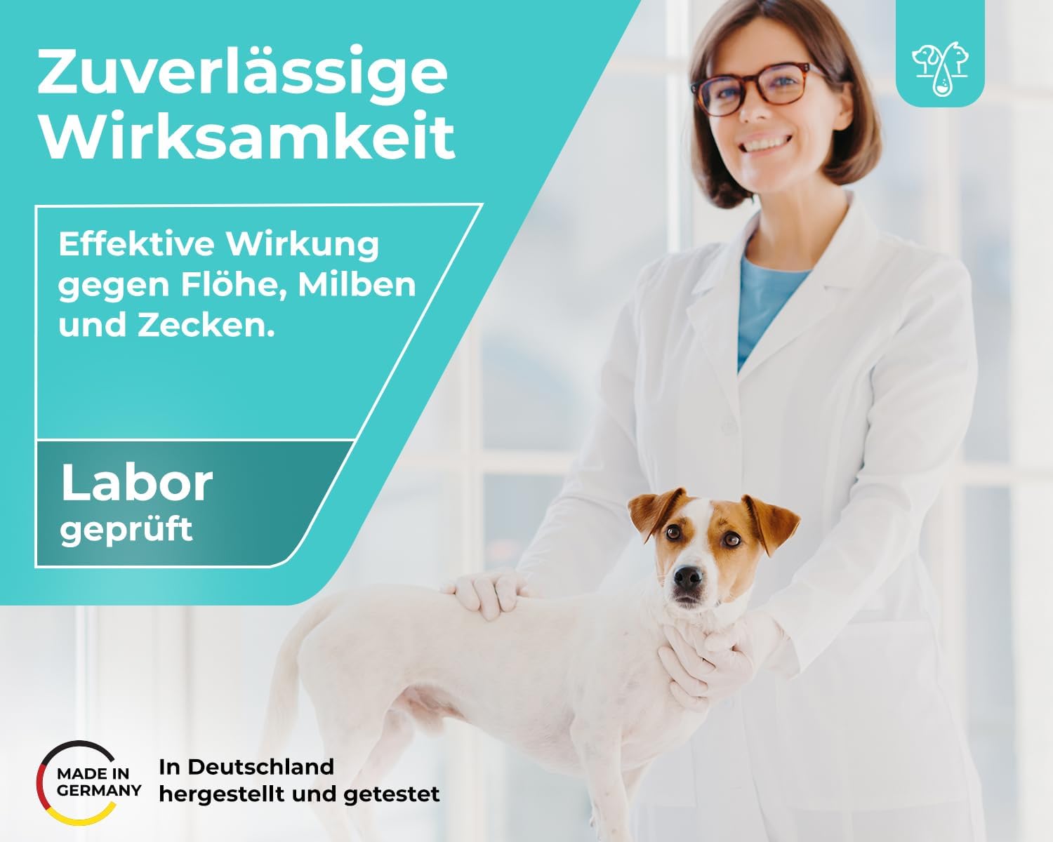 Hundeshampoo gegen Milben, Läuse & Zecken