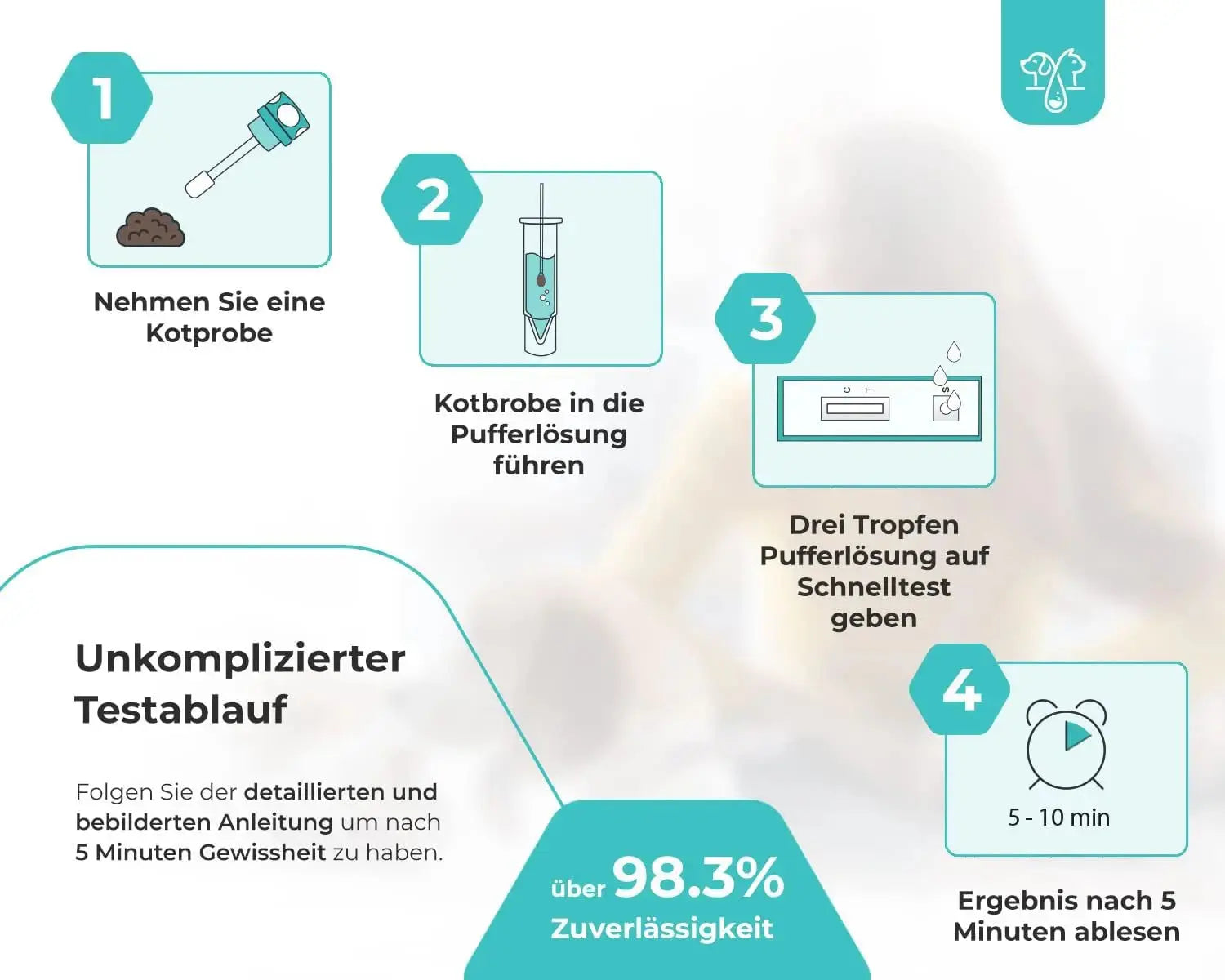 Giardien Schnelltest für Hunde & Katzen 1er Packung HomePetLab