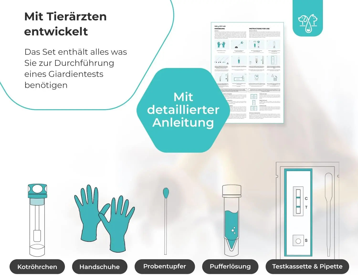 Giardien Schnelltest für Hunde & Katzen 1er Packung HomePetLab