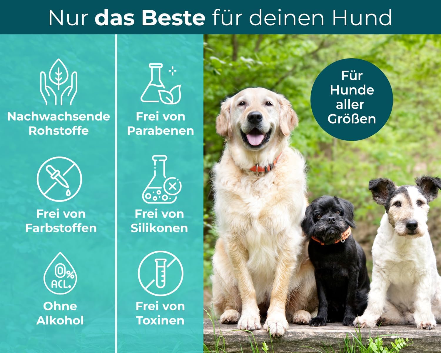 Spot On für Hunde
