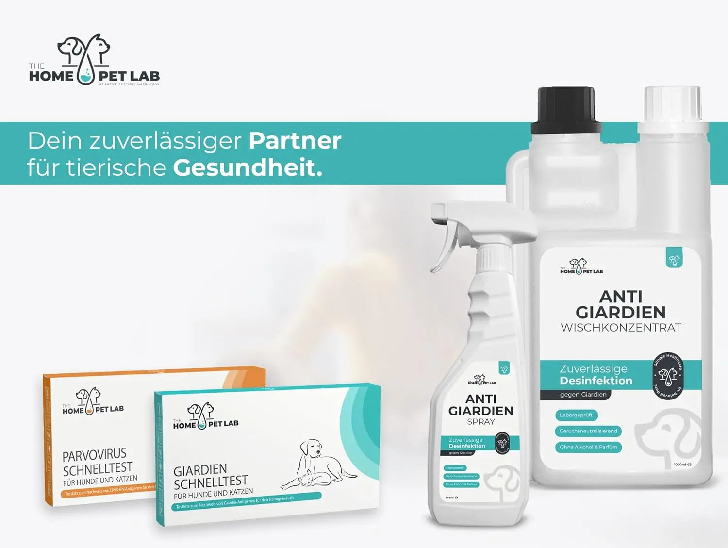 Giardien Schnelltest für Hunde & Katzen 1er Packung HomePetLab