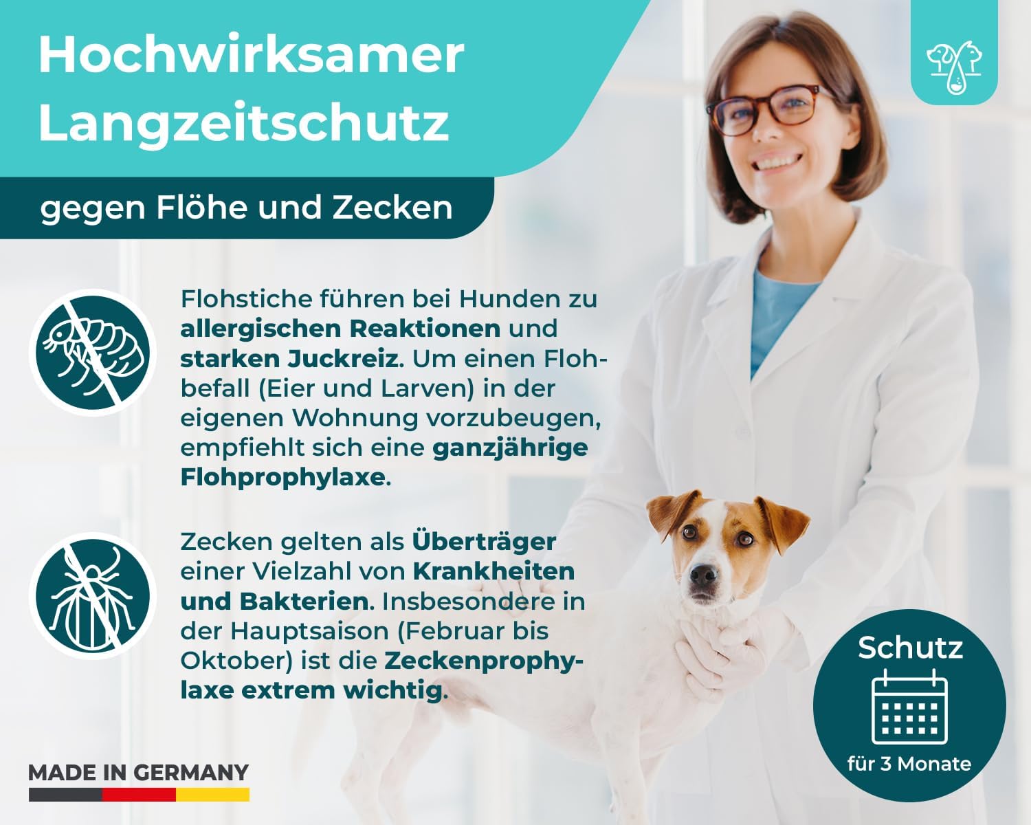 Spot On für Hunde