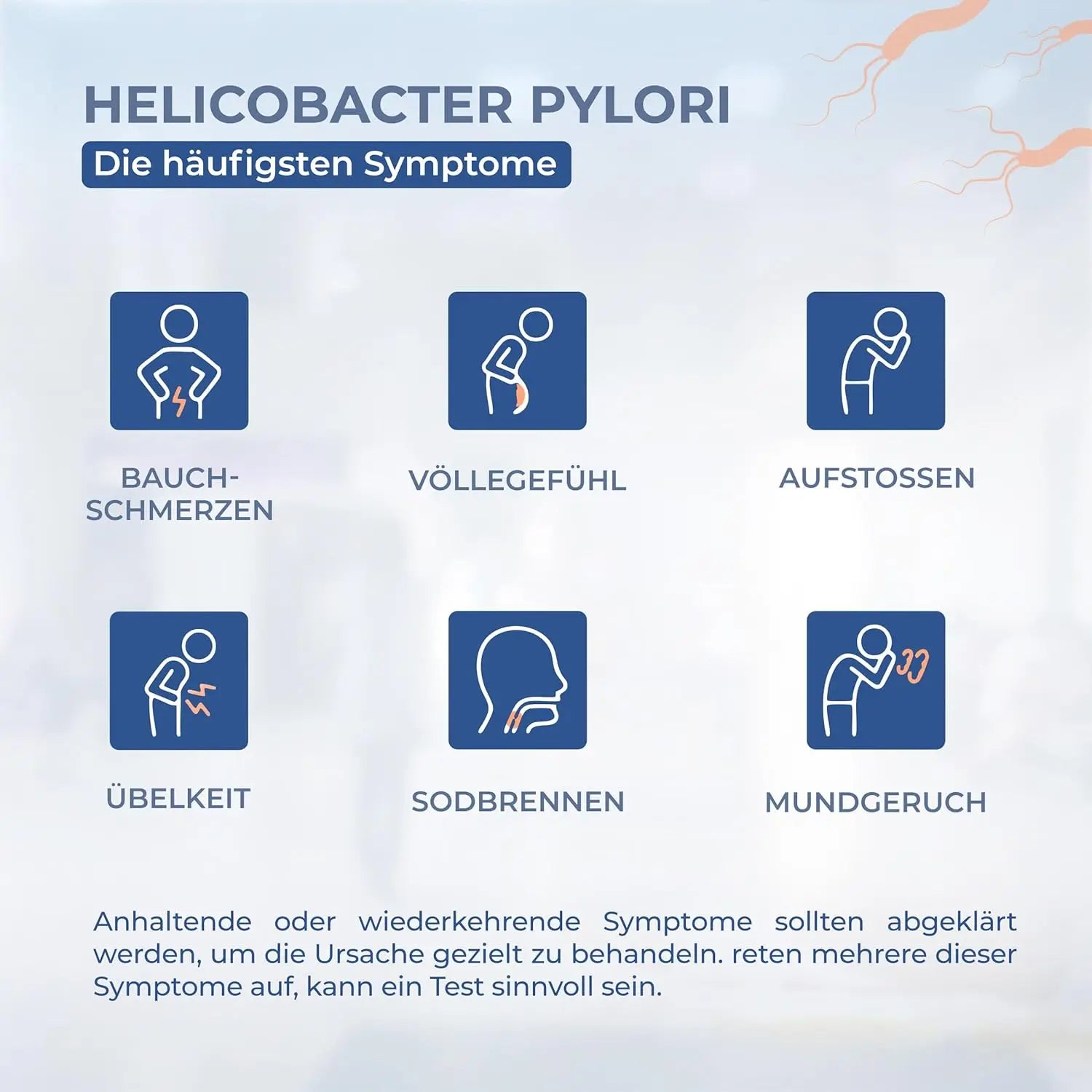 Helicobacter Pylori Test – bei Gastritis & Sodbrennen homehulab