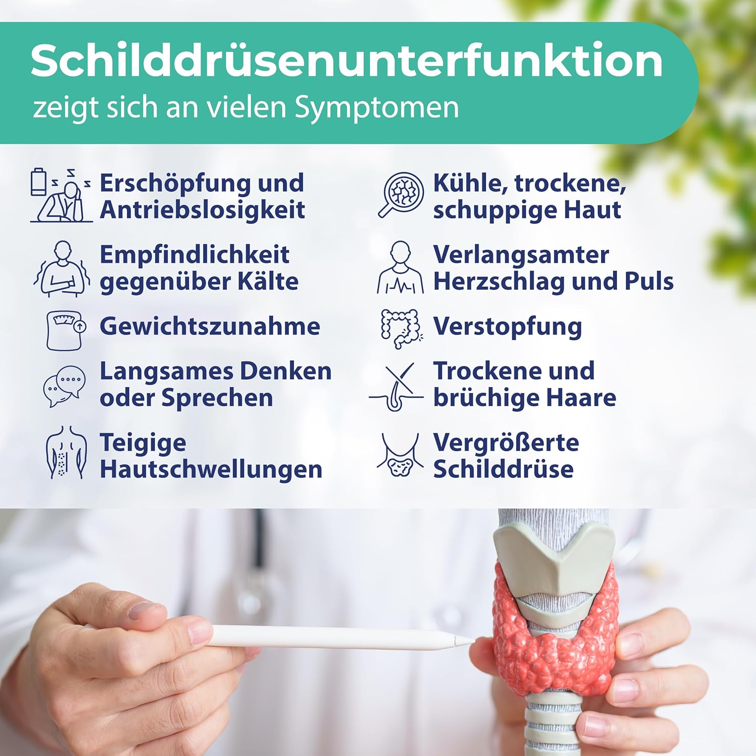 Schilddrüsen Test – TSH Selbsttest für zuhause