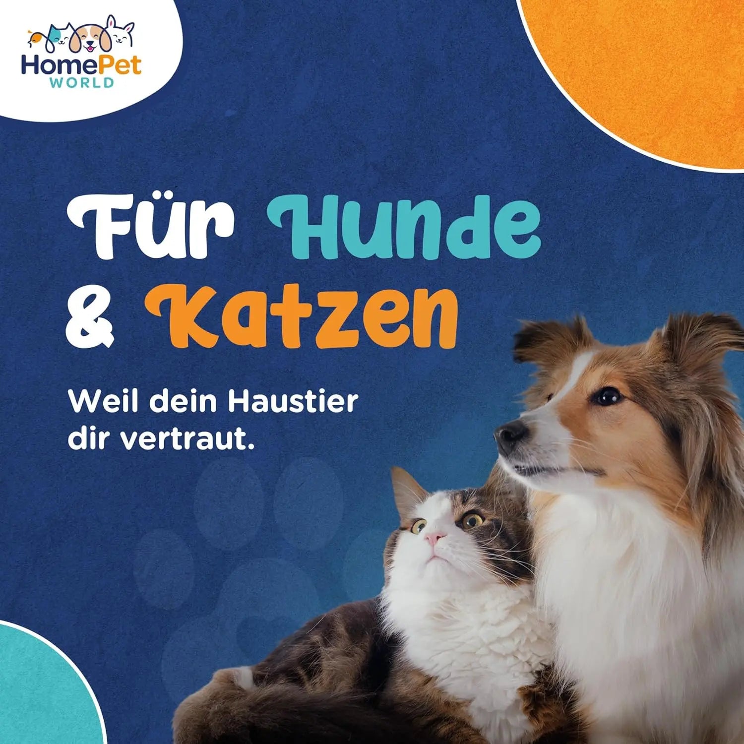 Bürste für Langhaar & Unterwolle aus Buchenholz HomePetWorld