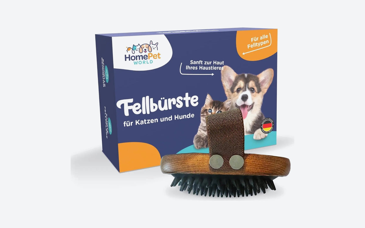 Fellpflege nach Felltyp: Bürste, Kamm, Shampoo